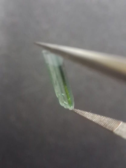 Rough tourmaline - for faceting or rough gemstone jewelry - 1.640 ct - bicolor - Natural Gems Belgium