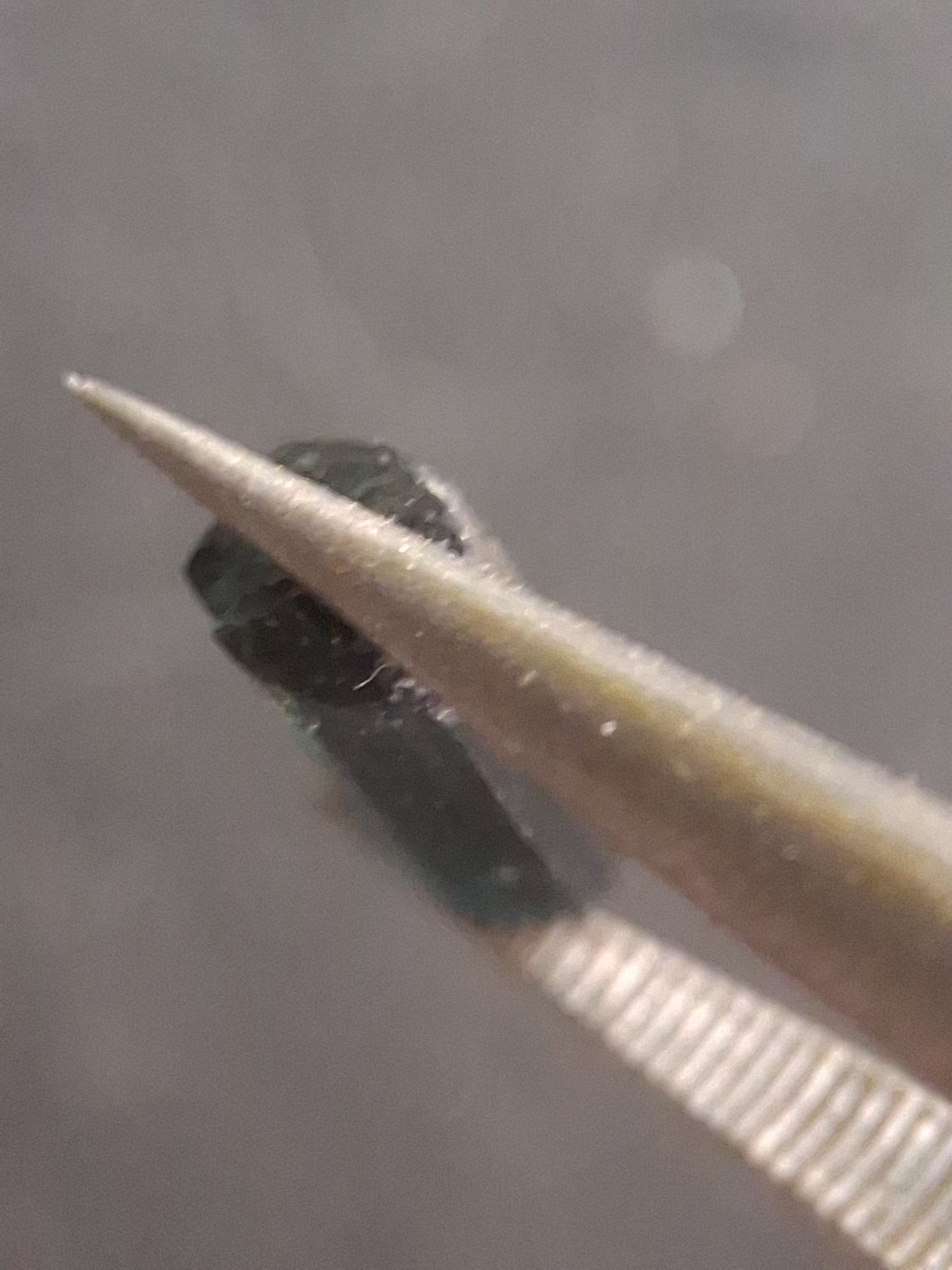 Rough tourmaline - for faceting or rough gemstone jewelry - 1.616 ct - deep bluish green - Natural Gems Belgium