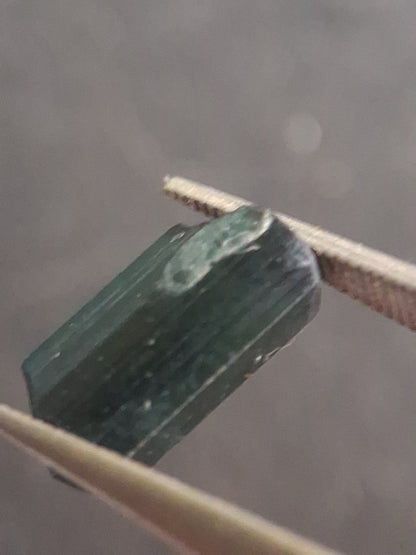 Rough tourmaline - for faceting or rough gemstone jewelry - 1.616 ct - deep bluish green - Natural Gems Belgium