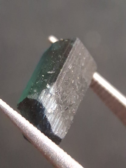Rough tourmaline - for faceting or rough gemstone jewelry - 1.616 ct - deep bluish green - Natural Gems Belgium