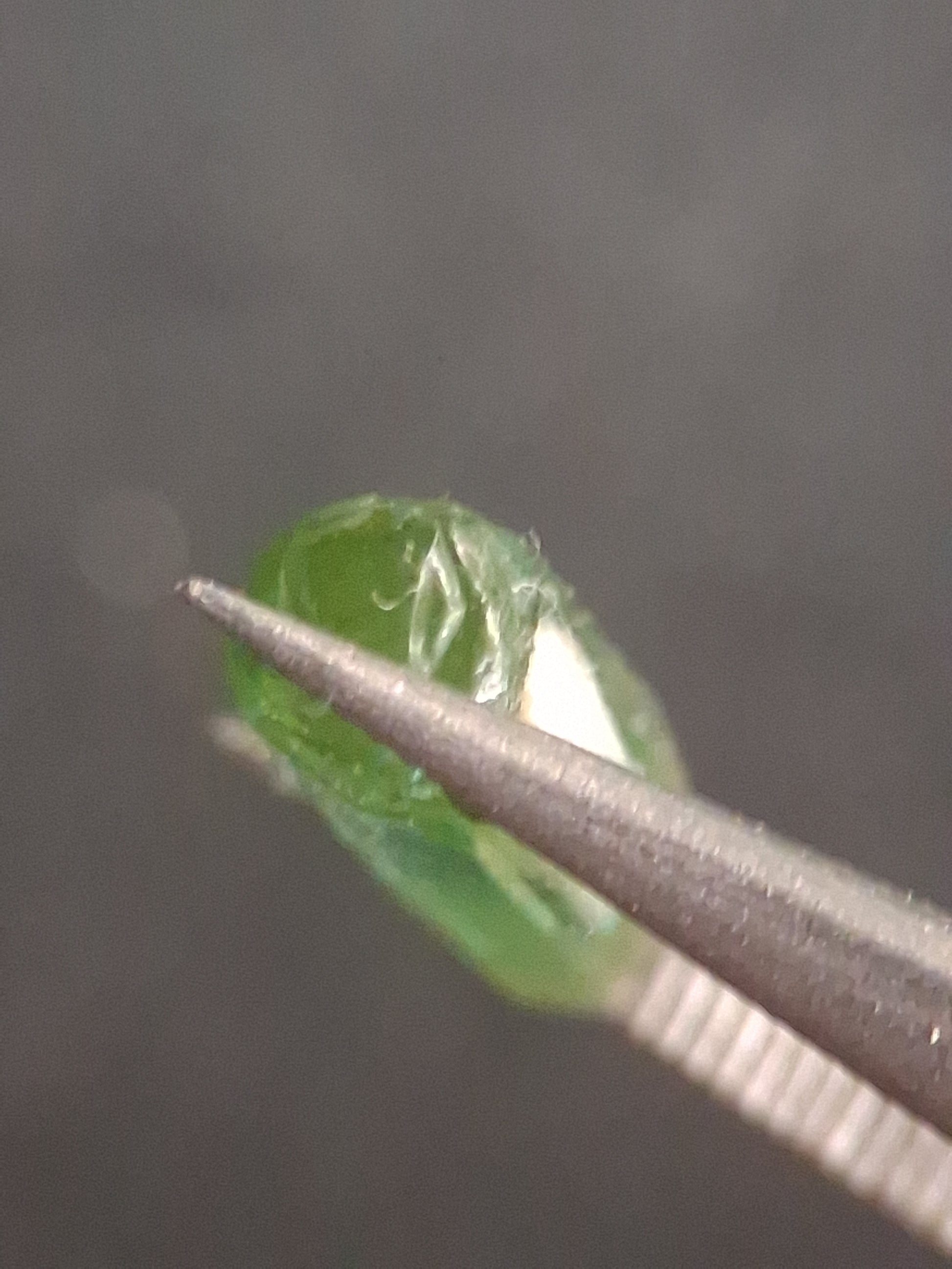 Rough tourmaline - for faceting or rough gemstone jewelry - 1.299 ct - very light to bright green - Natural Gems Belgium