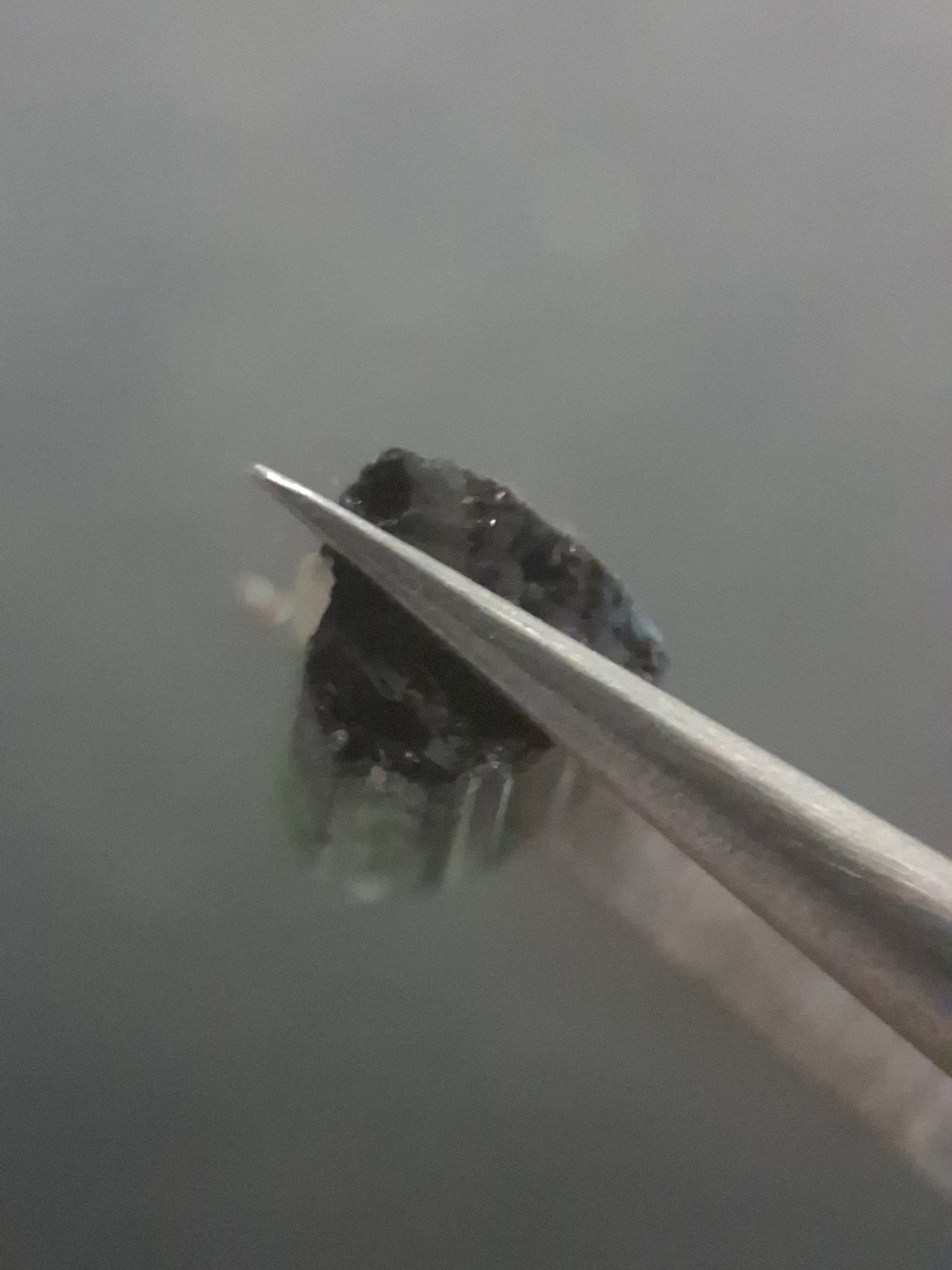 Rough tourmaline - for faceting or rough gemstone jewelry - 2.478 ct - deep green verdelite - Natural Gems Belgium