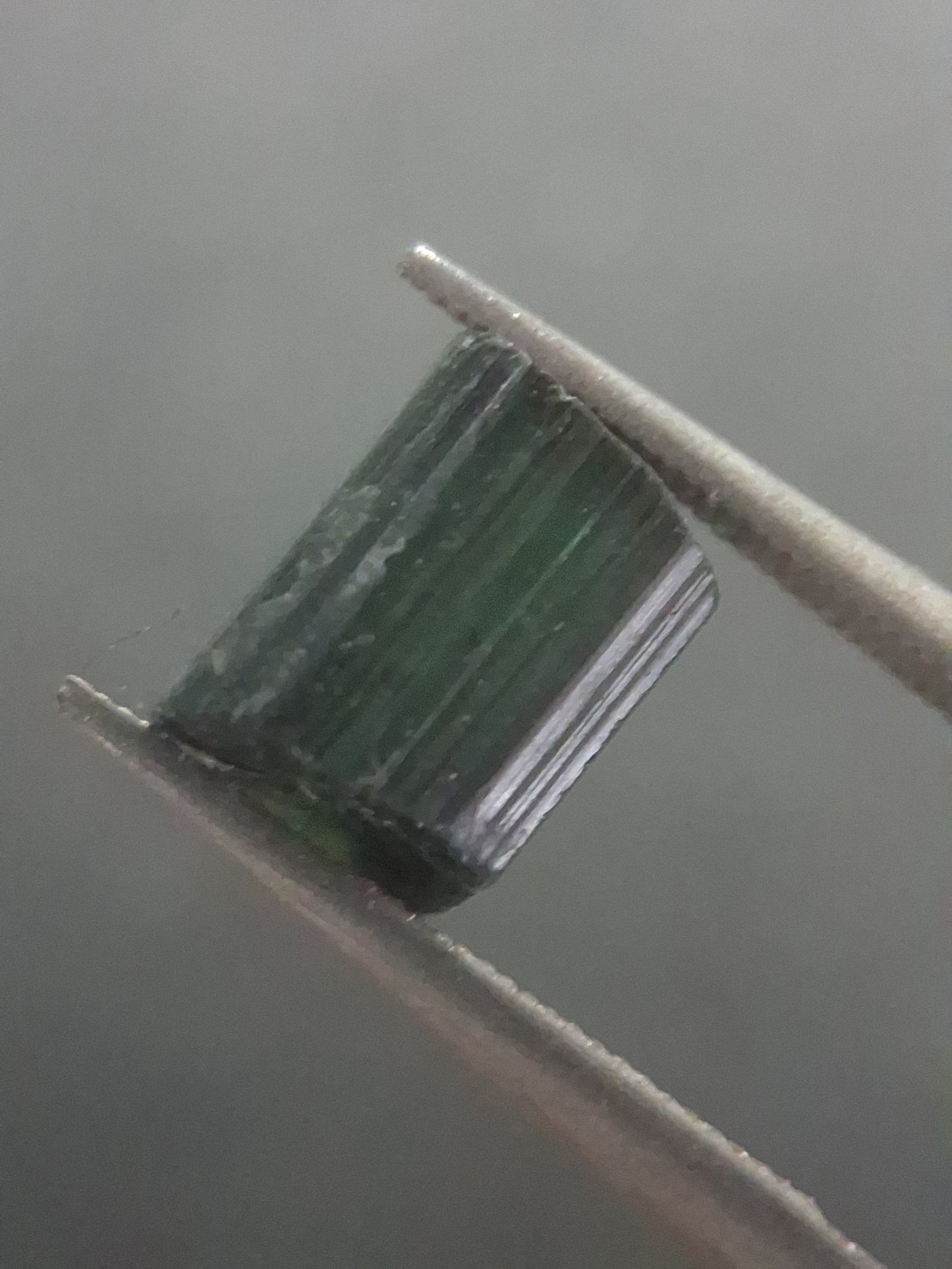 Rough tourmaline - for faceting or rough gemstone jewelry - 2.478 ct - deep green verdelite - Natural Gems Belgium