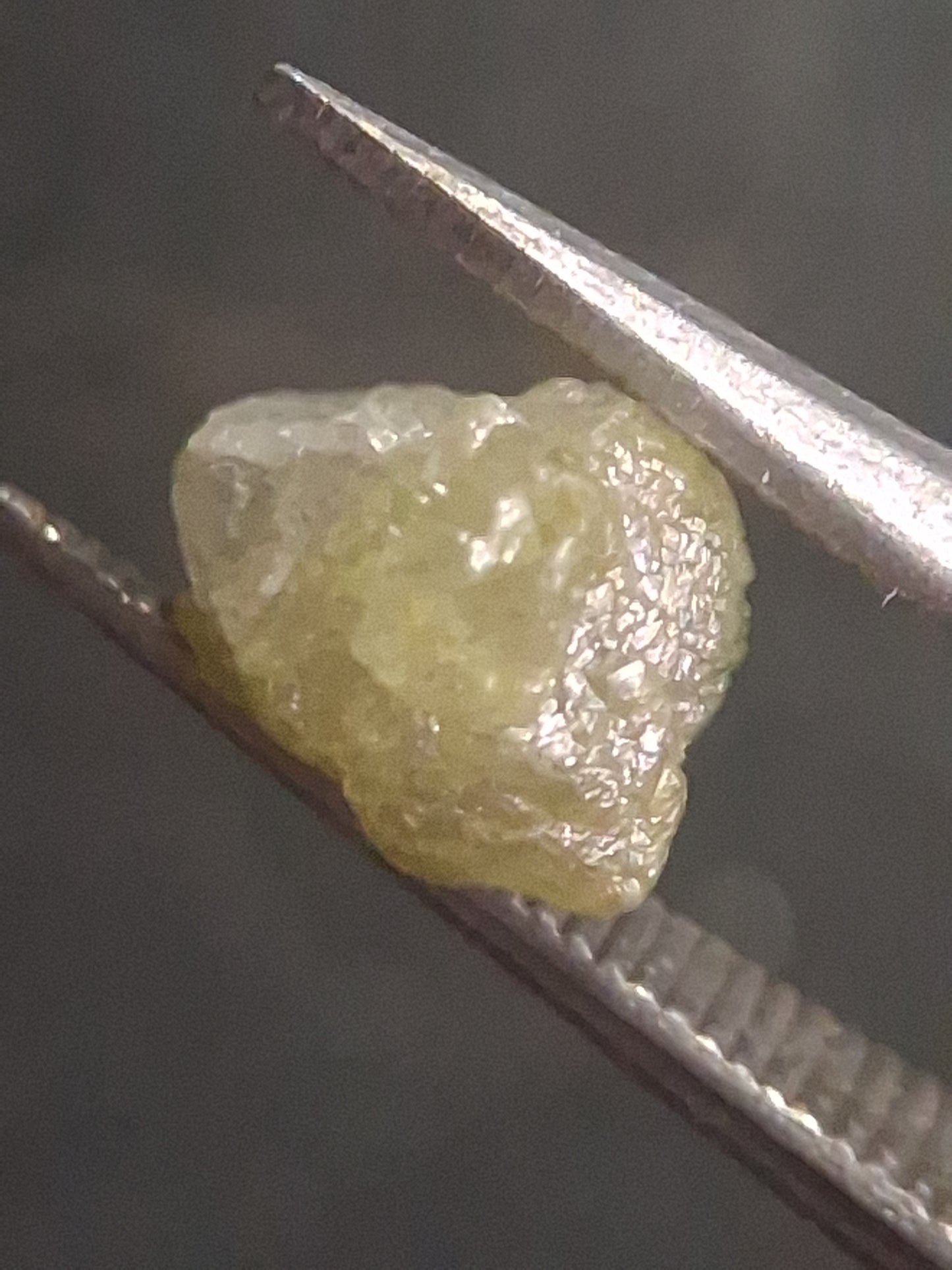 Unpolished Natural Grey Diamond - rough diamond - 1.071 ct - untreated - South Africa - Natural Gems Belgium