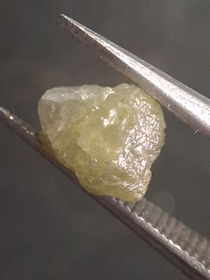 Unpolished Natural Grey Diamond - rough diamond - 1.071 ct - untreated - South Africa - Natural Gems Belgium