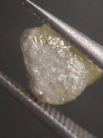 Unpolished Natural Grey Diamond - rough diamond - 1.071 ct - untreated - South Africa - Natural Gems Belgium