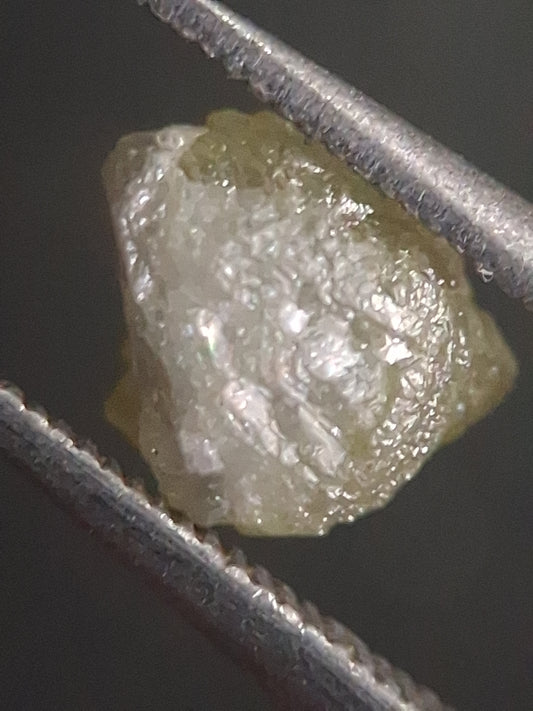 Unpolished Natural Grey Diamond - rough diamond - 1.071 ct - untreated - South Africa - Natural Gems Belgium