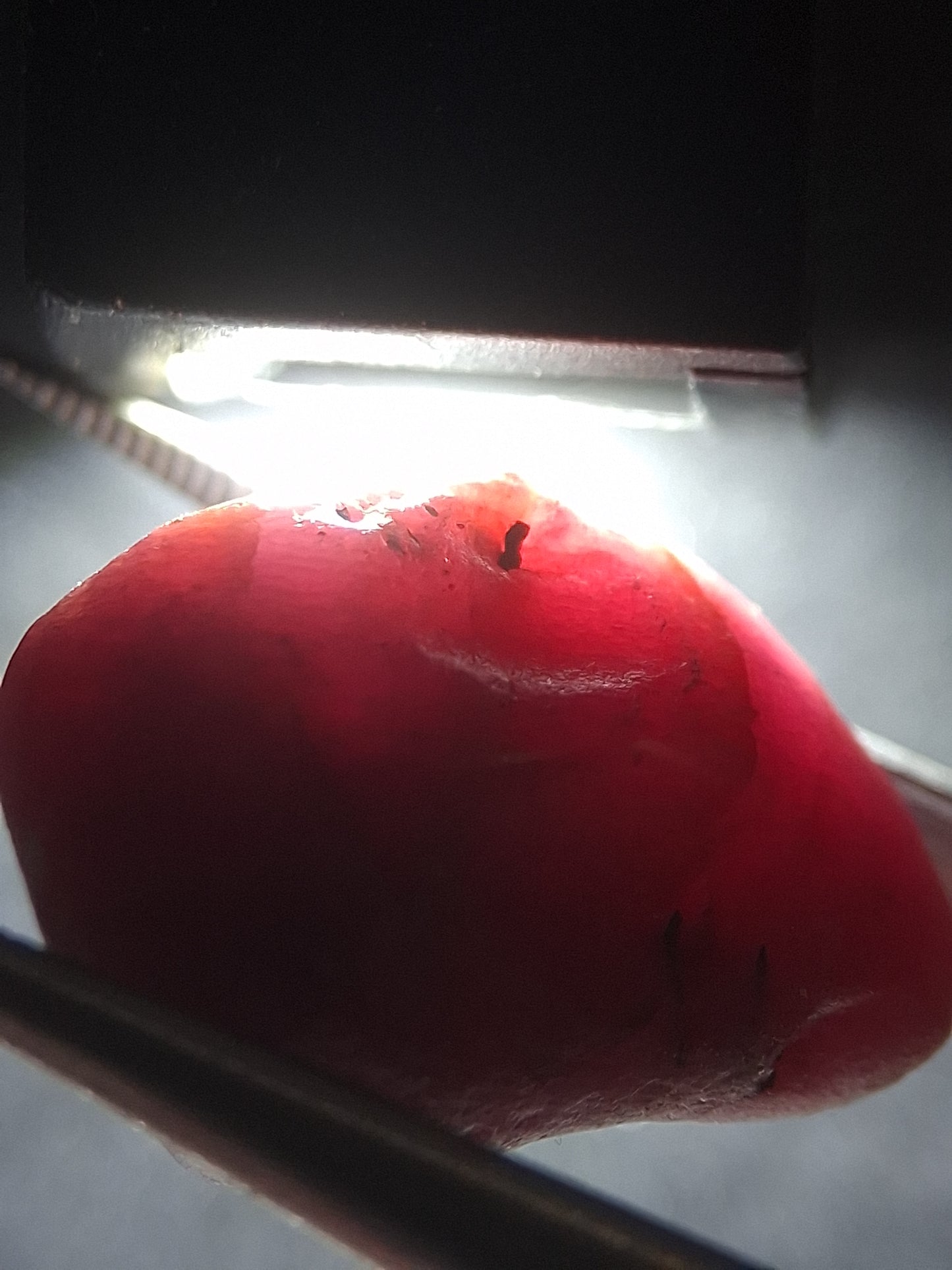 Natural Red Ruby - 21.545 ct - rough ruby - untreated - Africa - Natural Gems Belgium