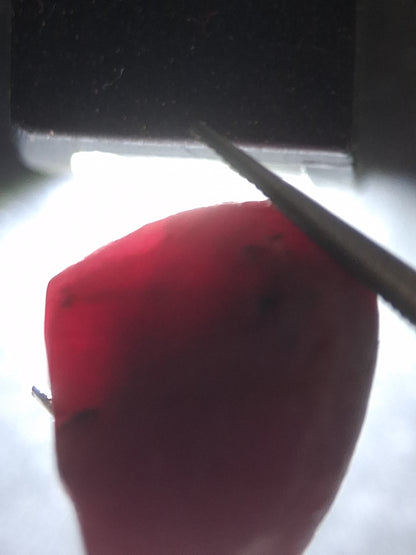 Natural Red Ruby - 21.545 ct - rough ruby - untreated - Africa - Natural Gems Belgium