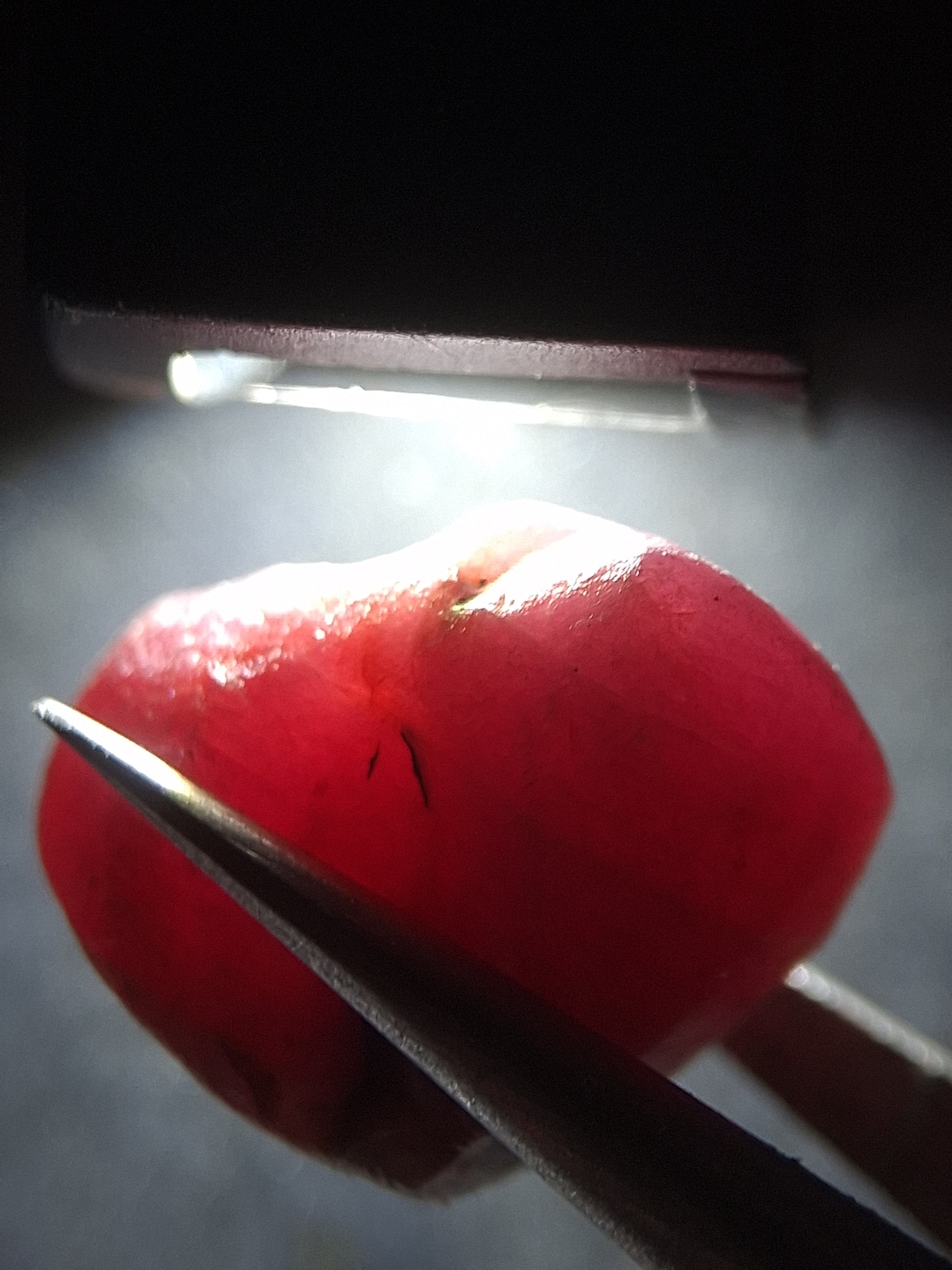 Natural Red Ruby - 21.545 ct - rough ruby - untreated - Africa - Natural Gems Belgium