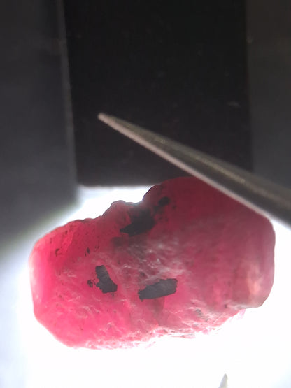Natural Red Ruby - 18.987 ct - rough ruby - untreated - Africa - Natural Gems Belgium