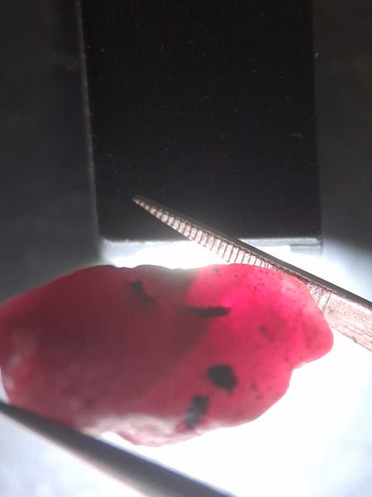 Natural Red Ruby - 18.987 ct - rough ruby - untreated - Africa - Natural Gems Belgium