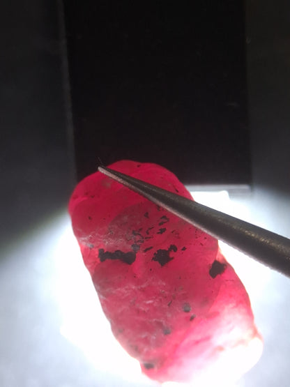 Natural Red Ruby - 18.987 ct - rough ruby - untreated - Africa - Natural Gems Belgium
