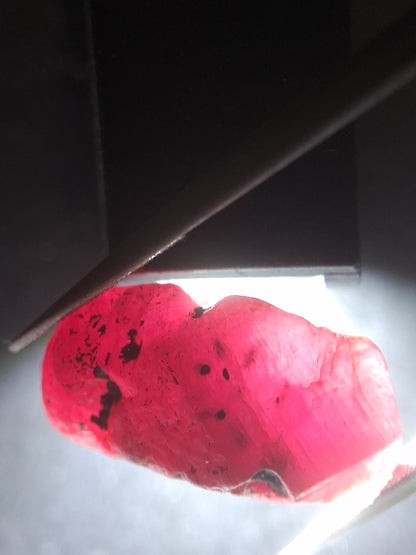 Natural Red Ruby - 18.987 ct - rough ruby - untreated - Africa - Natural Gems Belgium