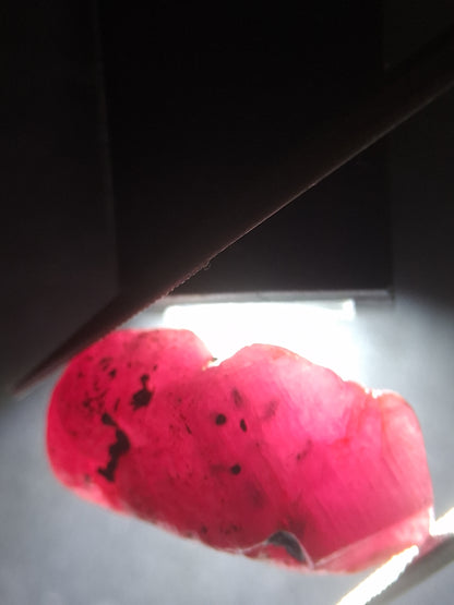 Natural Red Ruby - 18.987 ct - rough ruby - untreated - Africa - Natural Gems Belgium