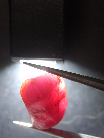 Natural Red Ruby - 22.226 ct - rough ruby - untreated - Africa - Natural Gems Belgium