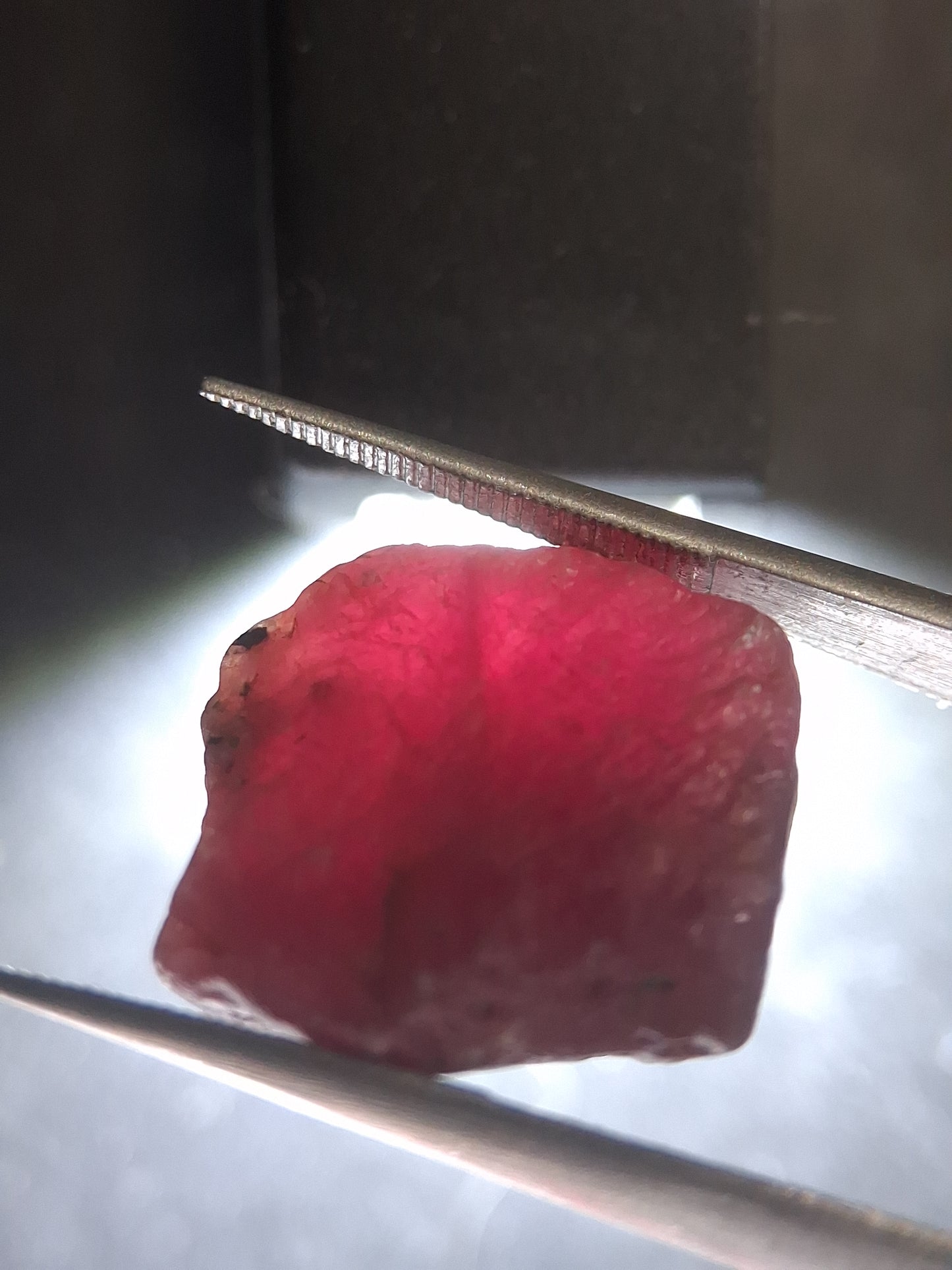Natural Red Ruby - 23.603 ct - rough ruby - untreated - Africa - Natural Gems Belgium