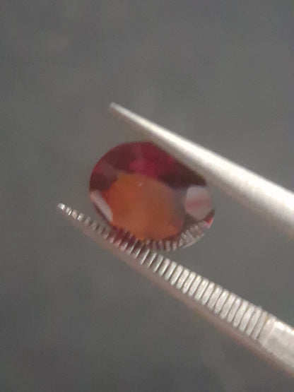 Natural Red Garnet - Rhodolite - 1.363 ct - round - unheated- red - Natural Gems Belgium