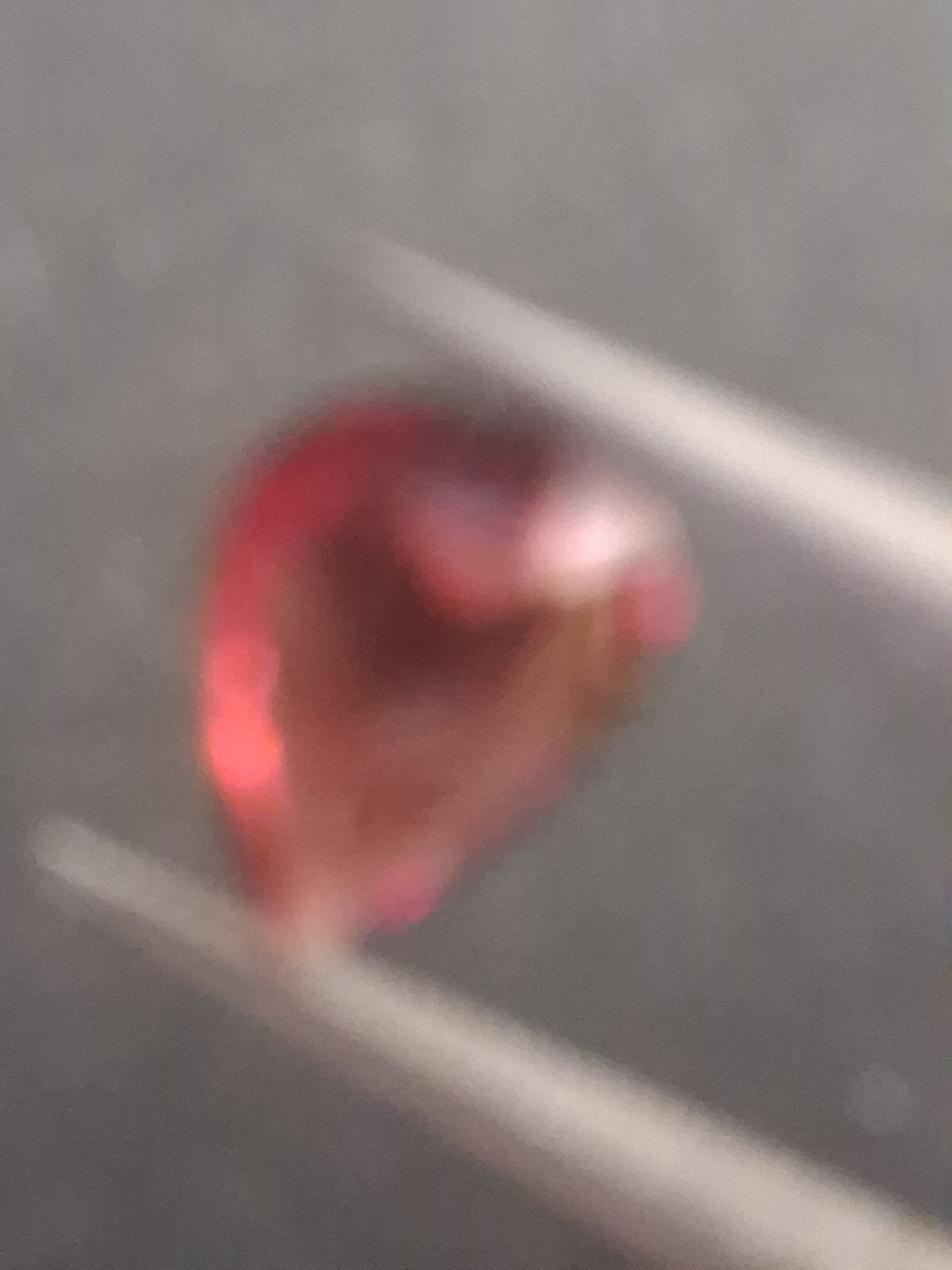 Natural Red Garnet - Rhodolite - 1.272 ct - pear - unheated- red - Natural Gems Belgium