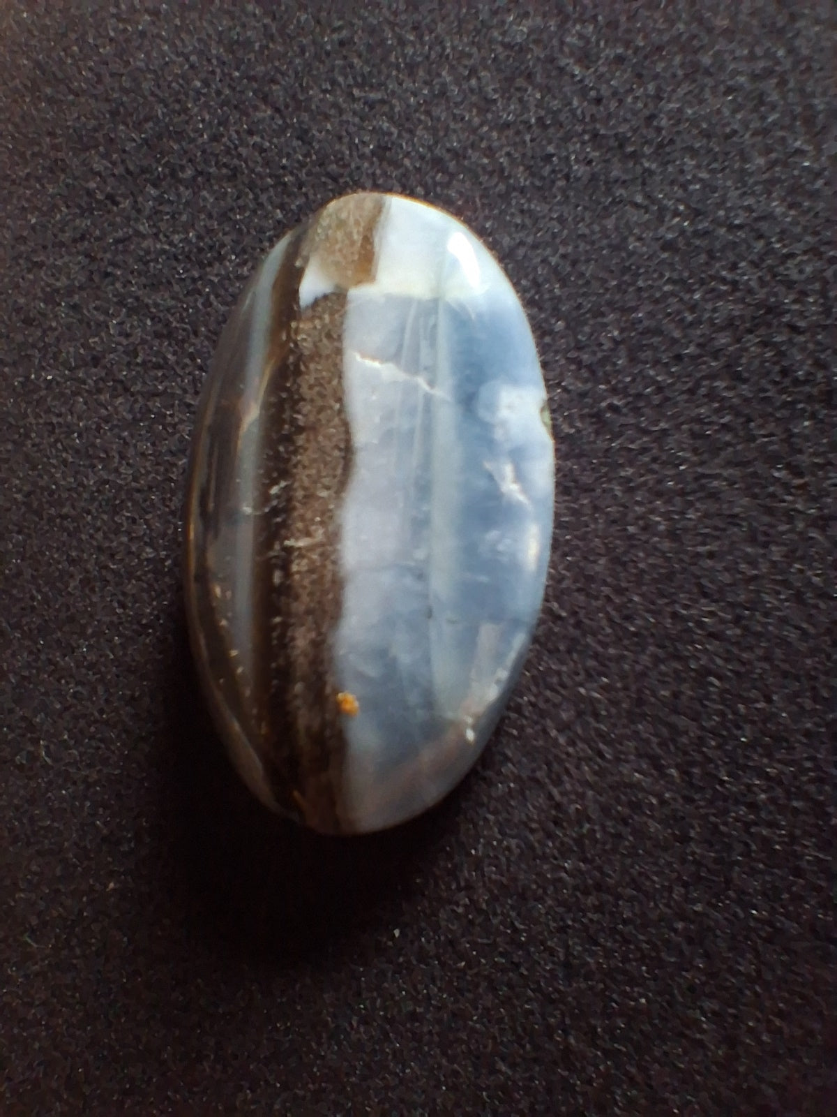 Natural Owyhee Blue Opal Cabochon - 20.658 ct - oval - scenic striped pattern