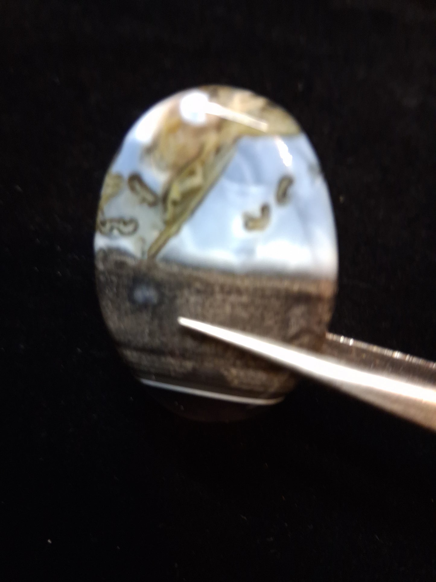 Natural Owyhee Blue Opal Cabochon - 50.141 ct - moss included - oval - scenic pattern