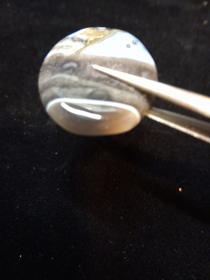 Natural Owyhee Blue Opal Cabochon - 50.141 ct - moss included - oval - scenic pattern