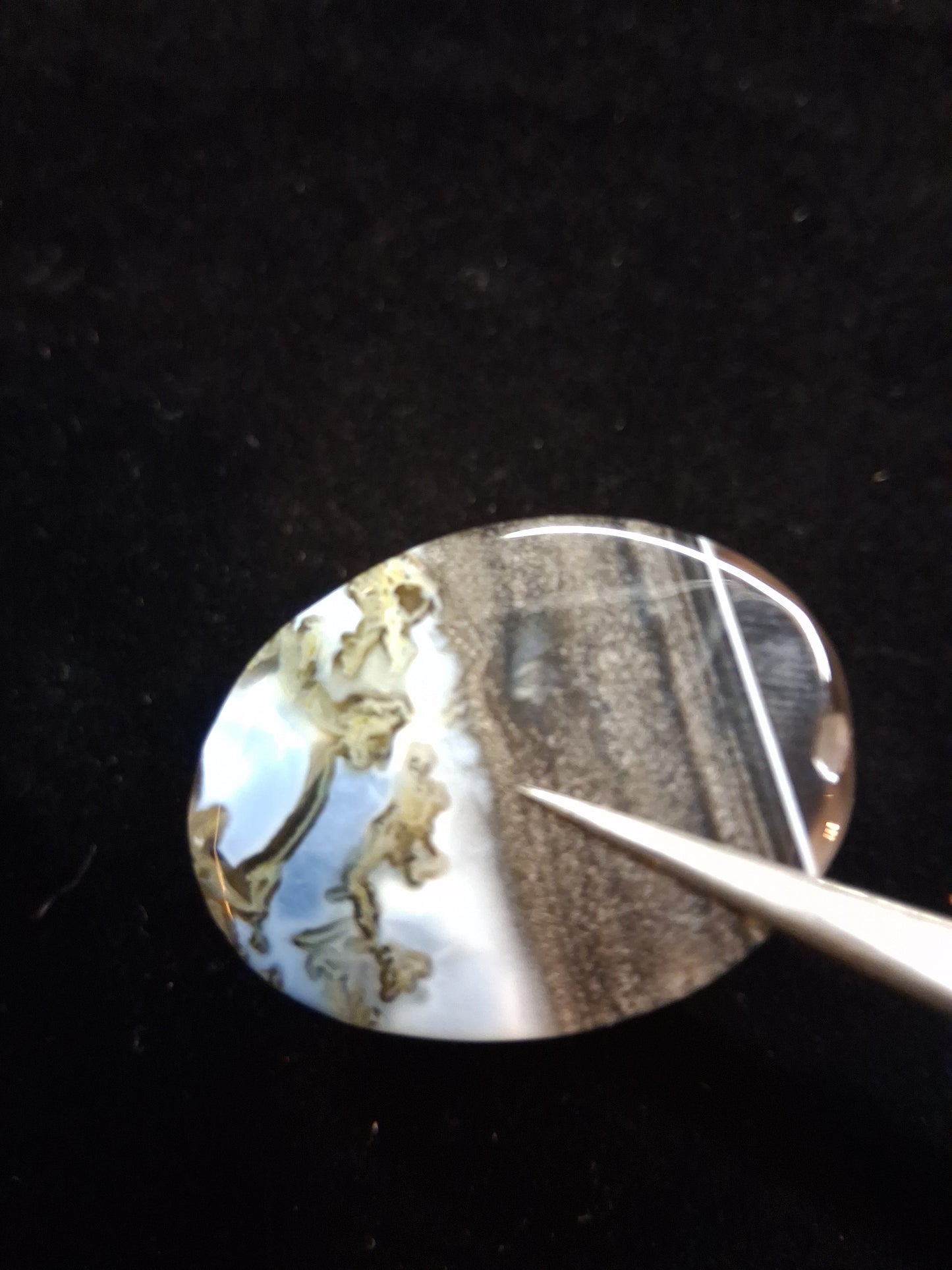 Natural Owyhee Blue Opal Cabochon - 50.141 ct - moss included - oval - scenic pattern