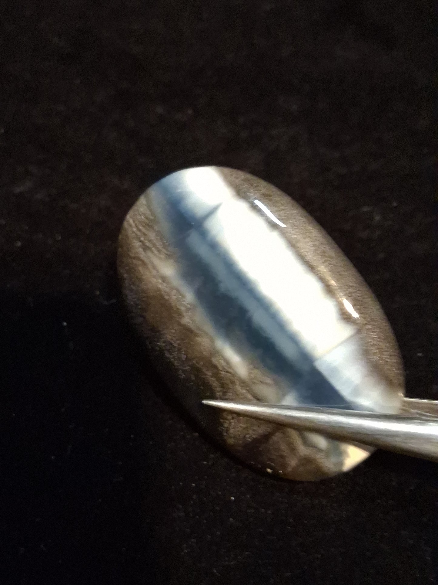 Natural Owyhee Blue Opal Cabochon - 50.273 ct - moss included - oval - unique scenic pattern