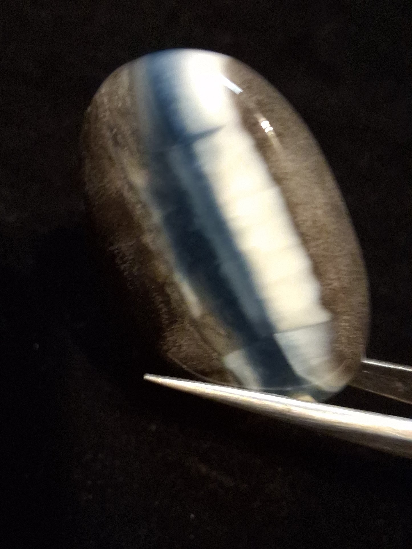 Natural Owyhee Blue Opal Cabochon - 50.273 ct - moss included - oval - unique scenic pattern