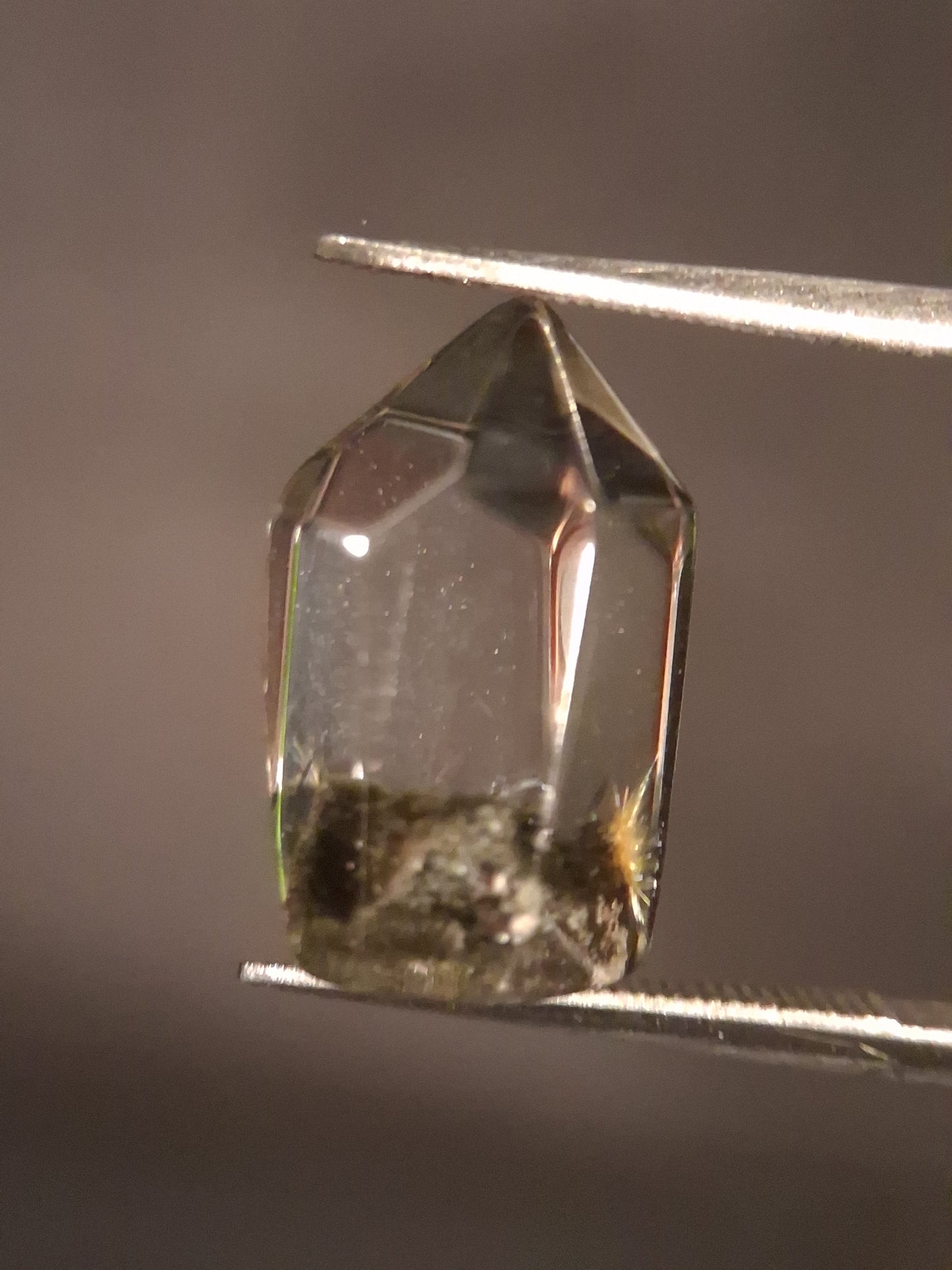 Crystal point of Phantom Quartz - gardenscape yellow flower in desert - collectors item