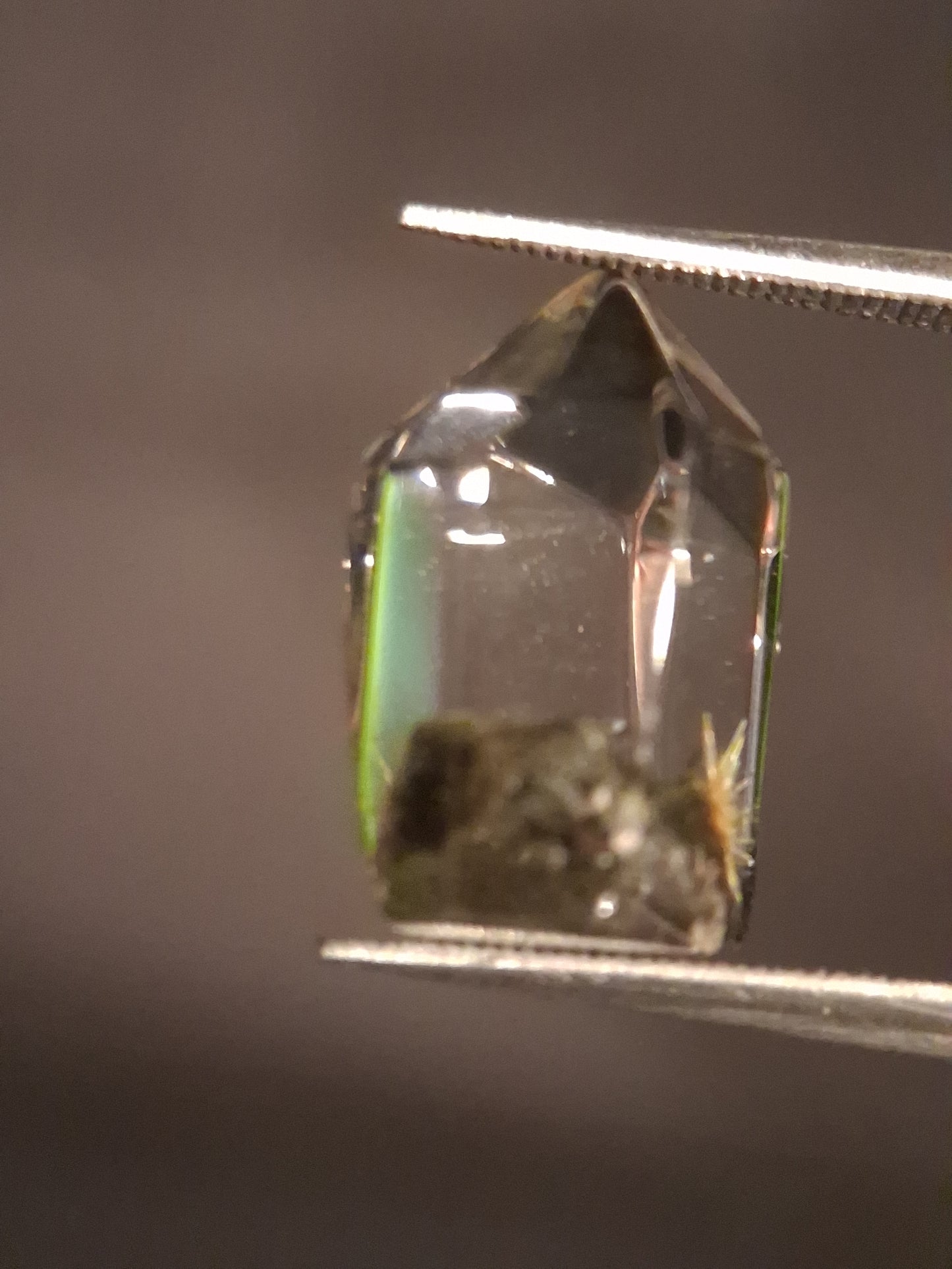 Crystal point of Phantom Quartz - gardenscape yellow flower in desert - collectors item