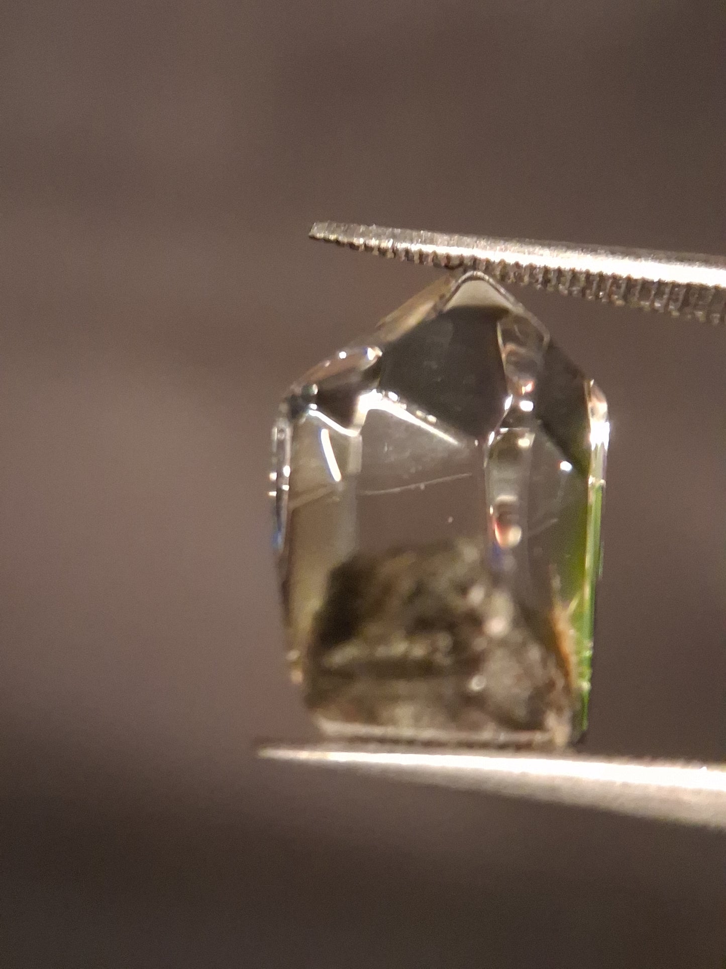 Crystal point of Phantom Quartz - gardenscape yellow flower in desert - collectors item