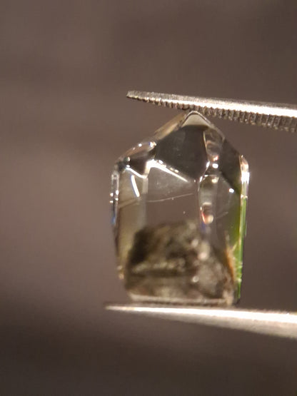 Crystal point of Phantom Quartz - gardenscape yellow flower in desert - collectors item