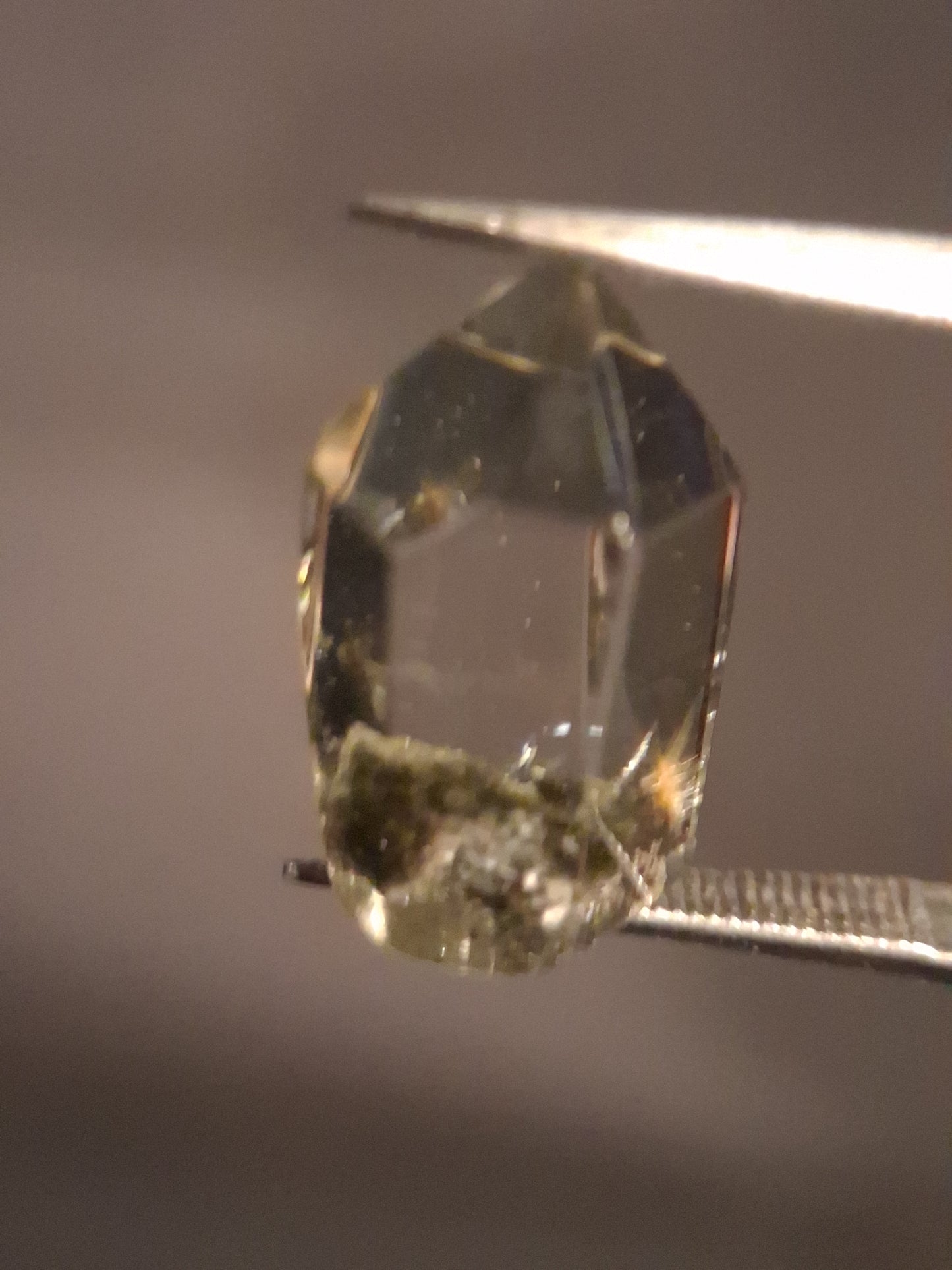 Crystal point of Phantom Quartz - gardenscape yellow flower in desert - collectors item