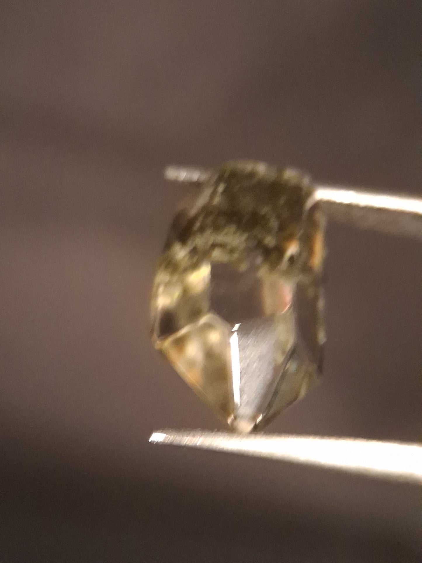 Crystal point of Phantom Quartz - gardenscape yellow flower in desert - collectors item