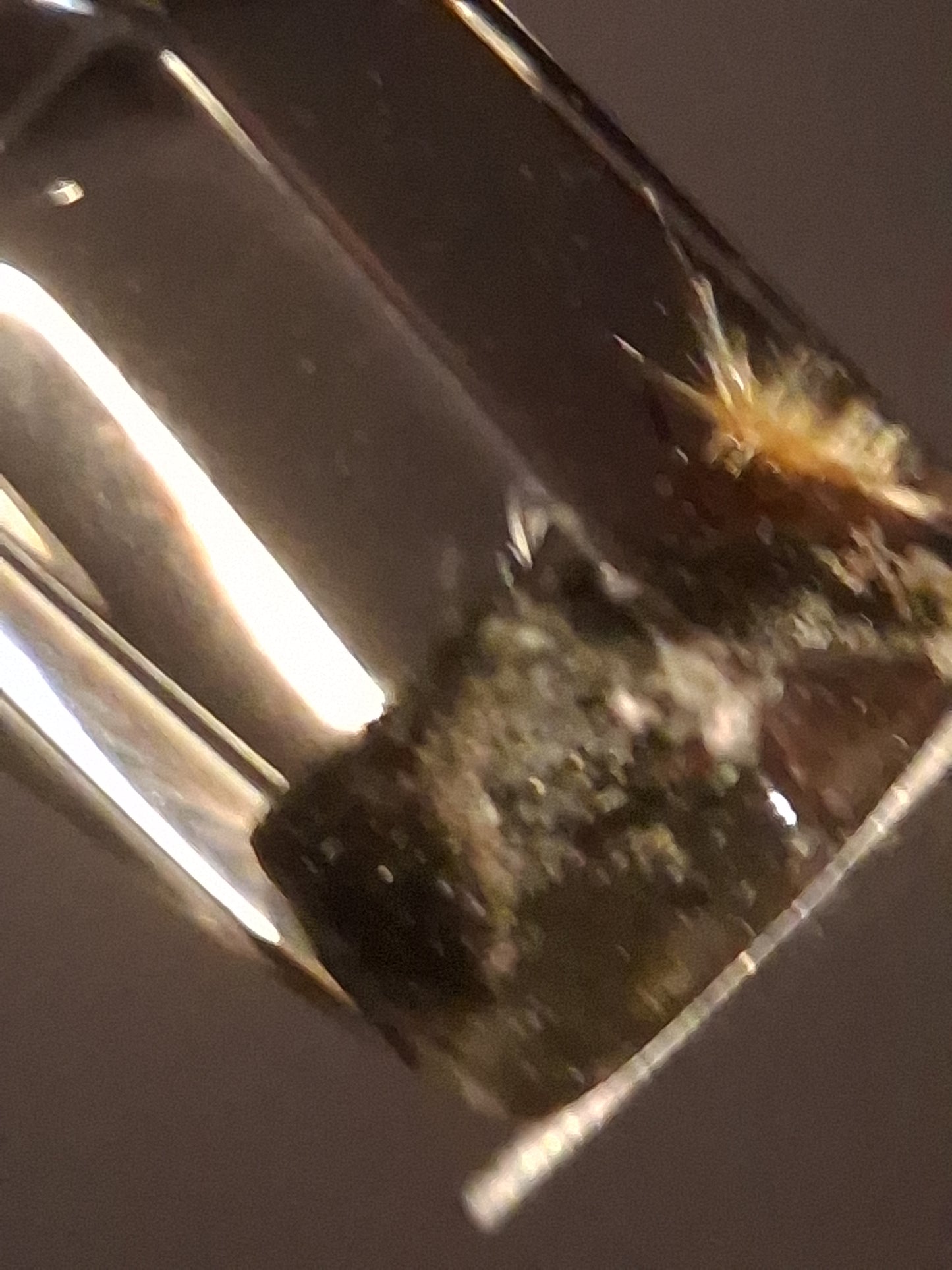 Crystal point of Phantom Quartz - gardenscape yellow flower in desert - collectors item