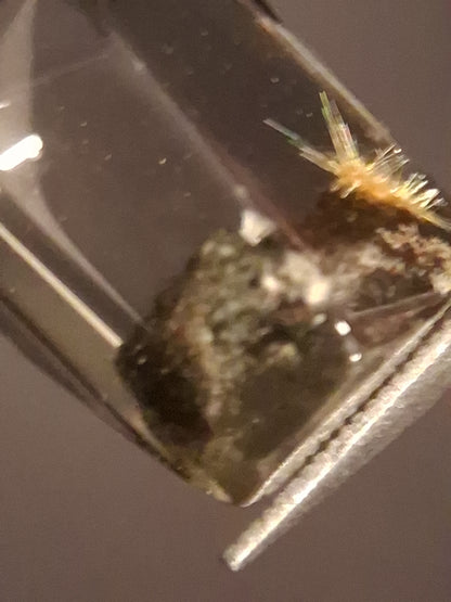 Crystal point of Phantom Quartz - gardenscape yellow flower in desert - collectors item