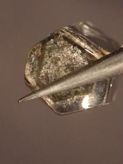 Crystal point of Phantom Quartz - gardenscape yellow flower in desert - collectors item