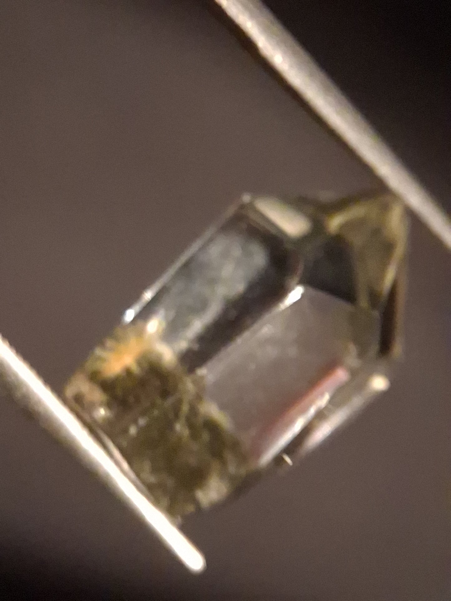 Crystal point of Phantom Quartz - gardenscape yellow flower in desert - collectors item