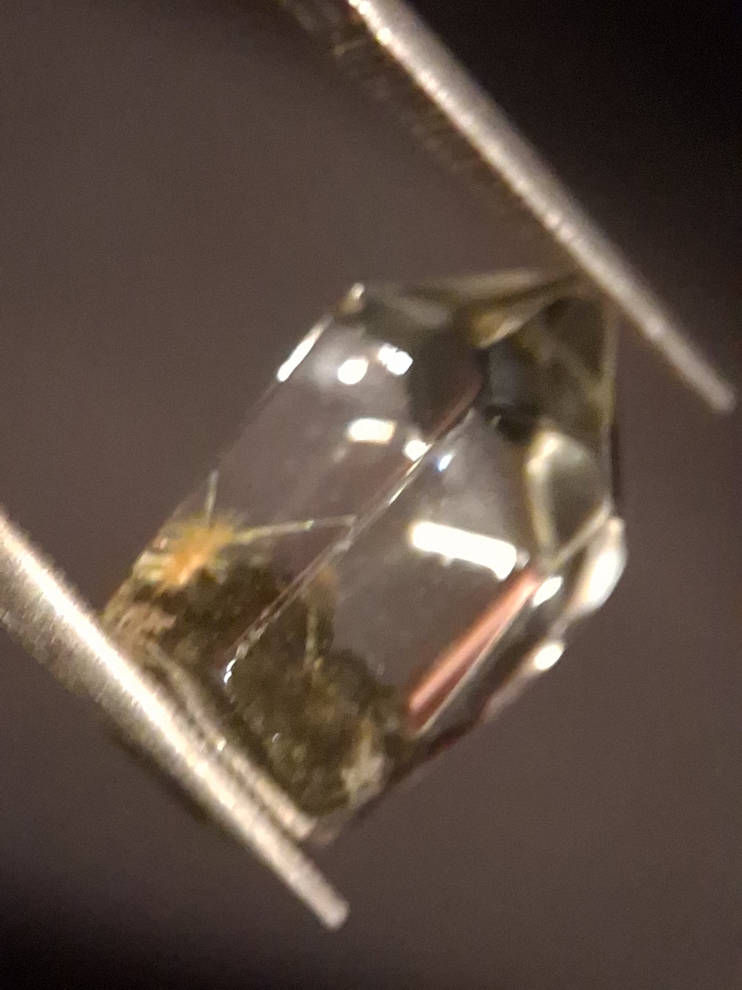 Crystal point of Phantom Quartz - gardenscape yellow flower in desert - collectors item