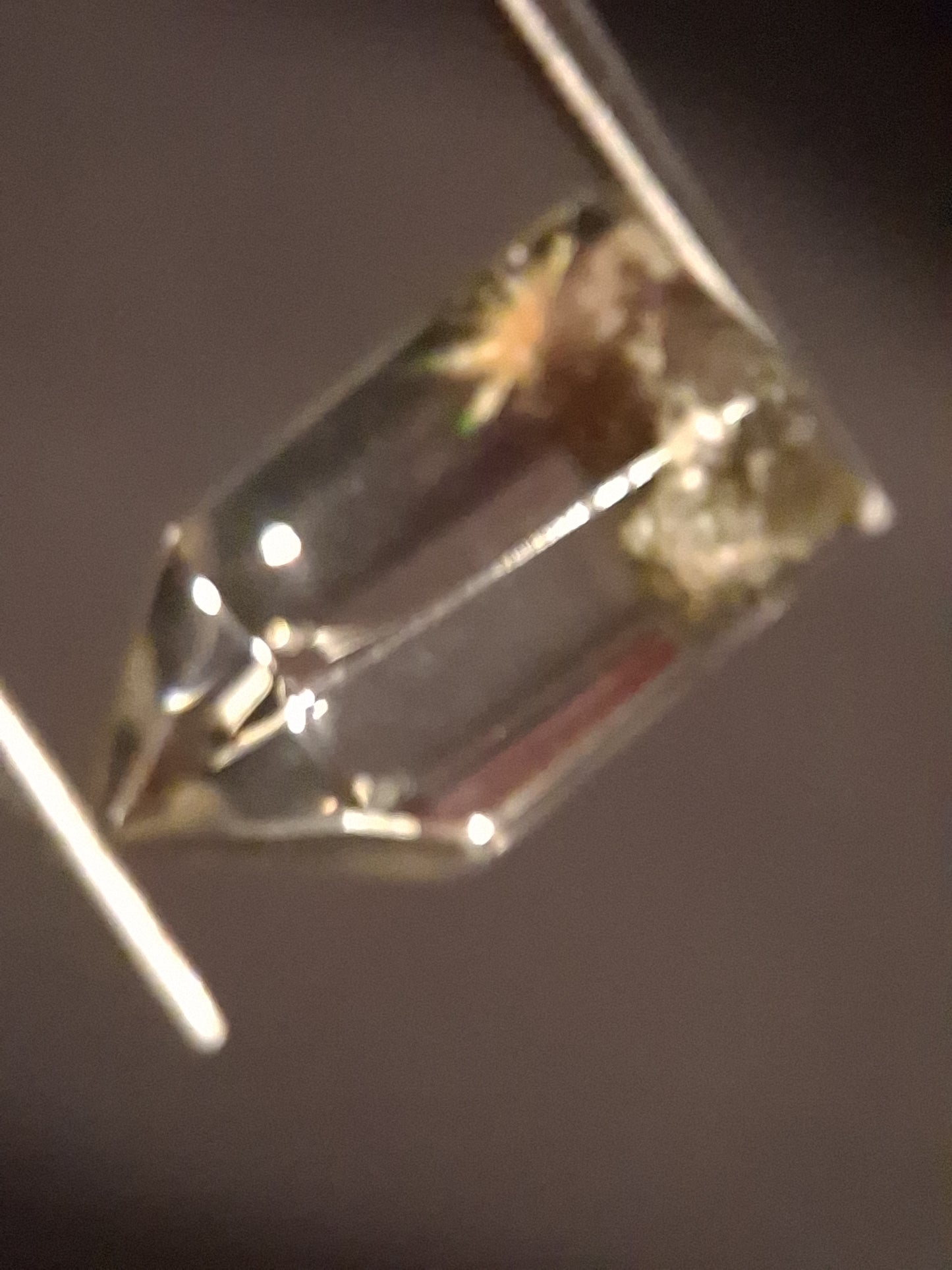 Crystal point of Phantom Quartz - gardenscape yellow flower in desert - collectors item