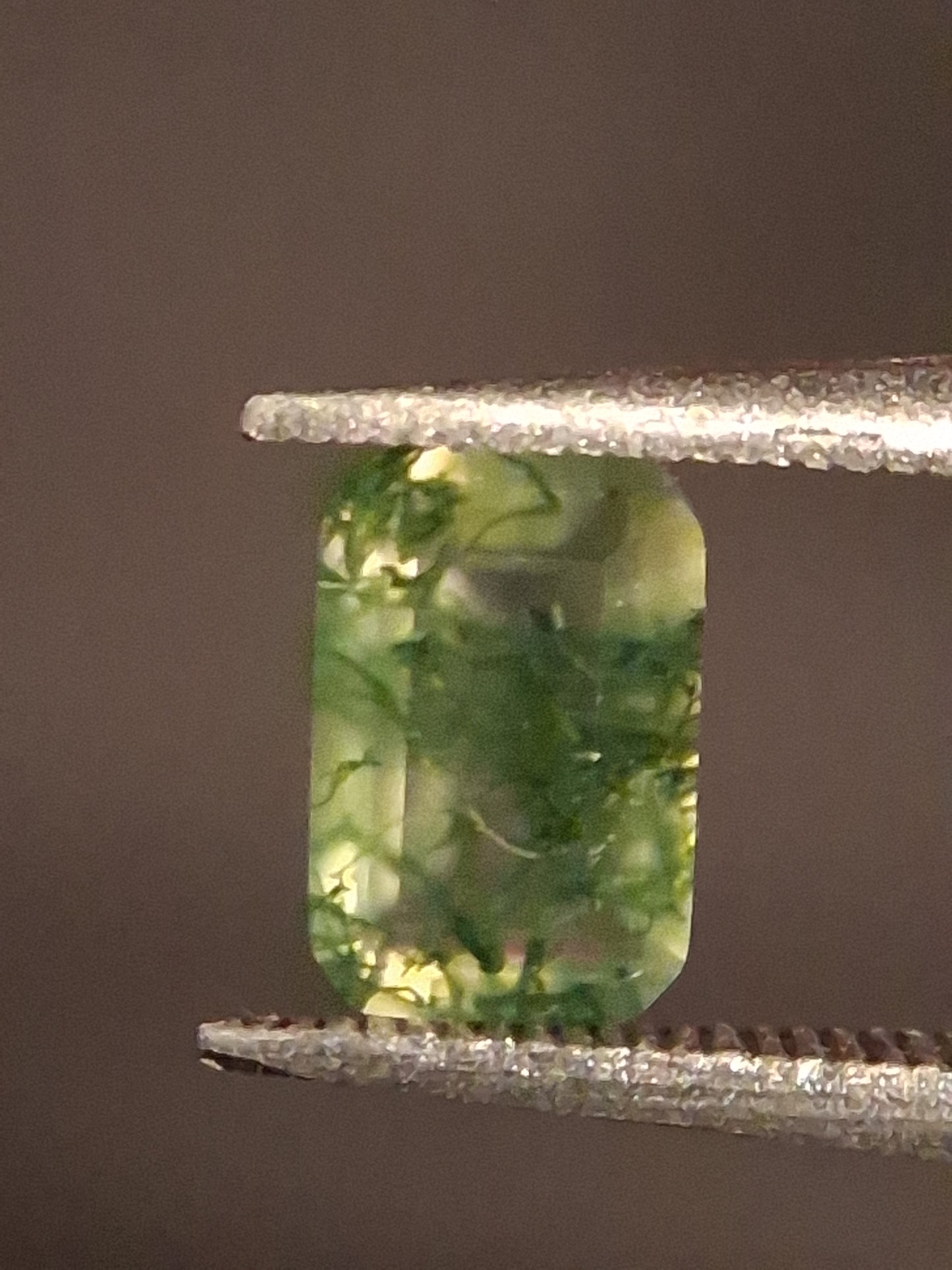 Natural Faceted Agate - Green Moss Agate - 0.451 ct - octagon