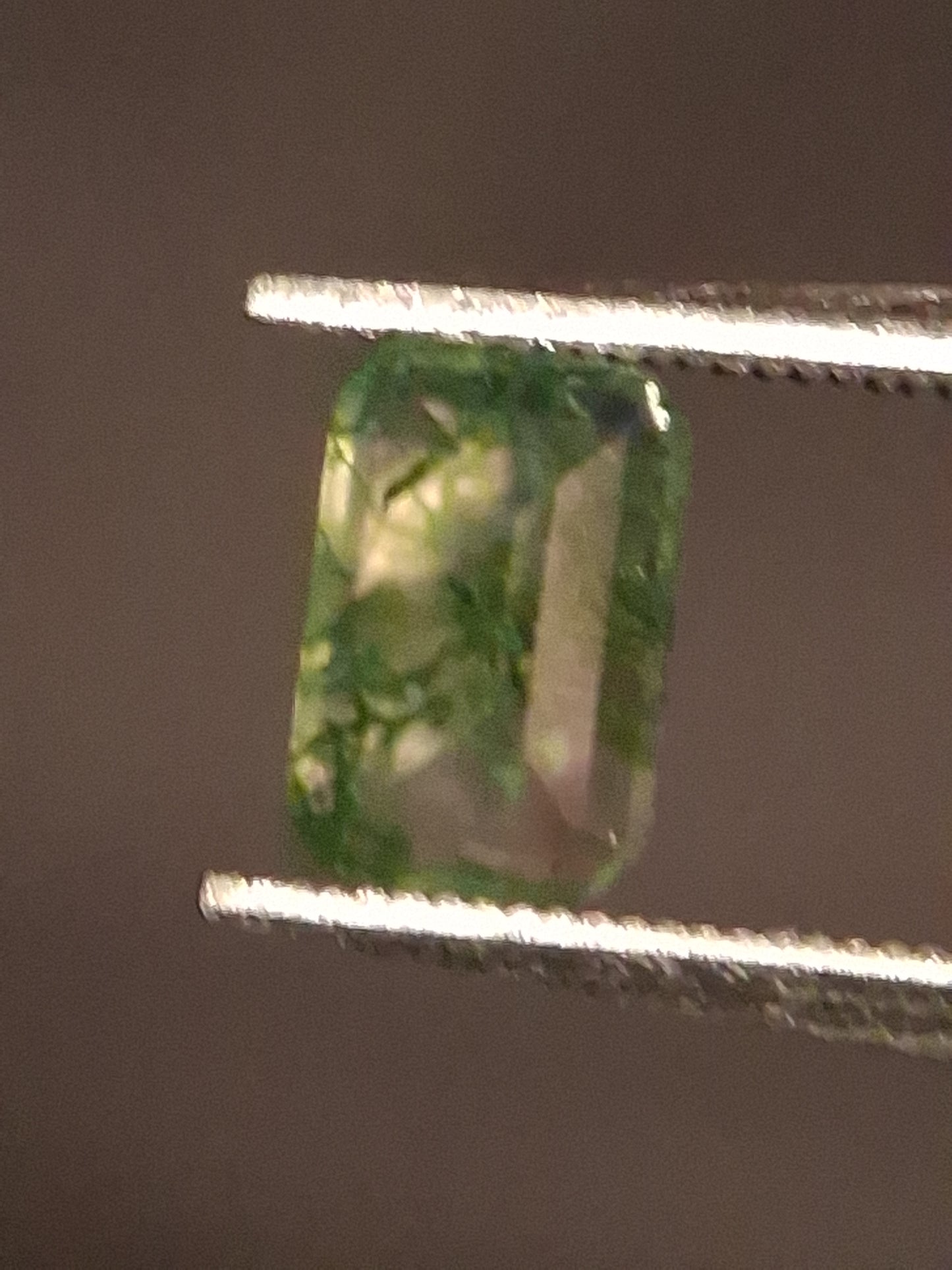 Natural Faceted Agate - Green Moss Agate - 0.451 ct - octagon