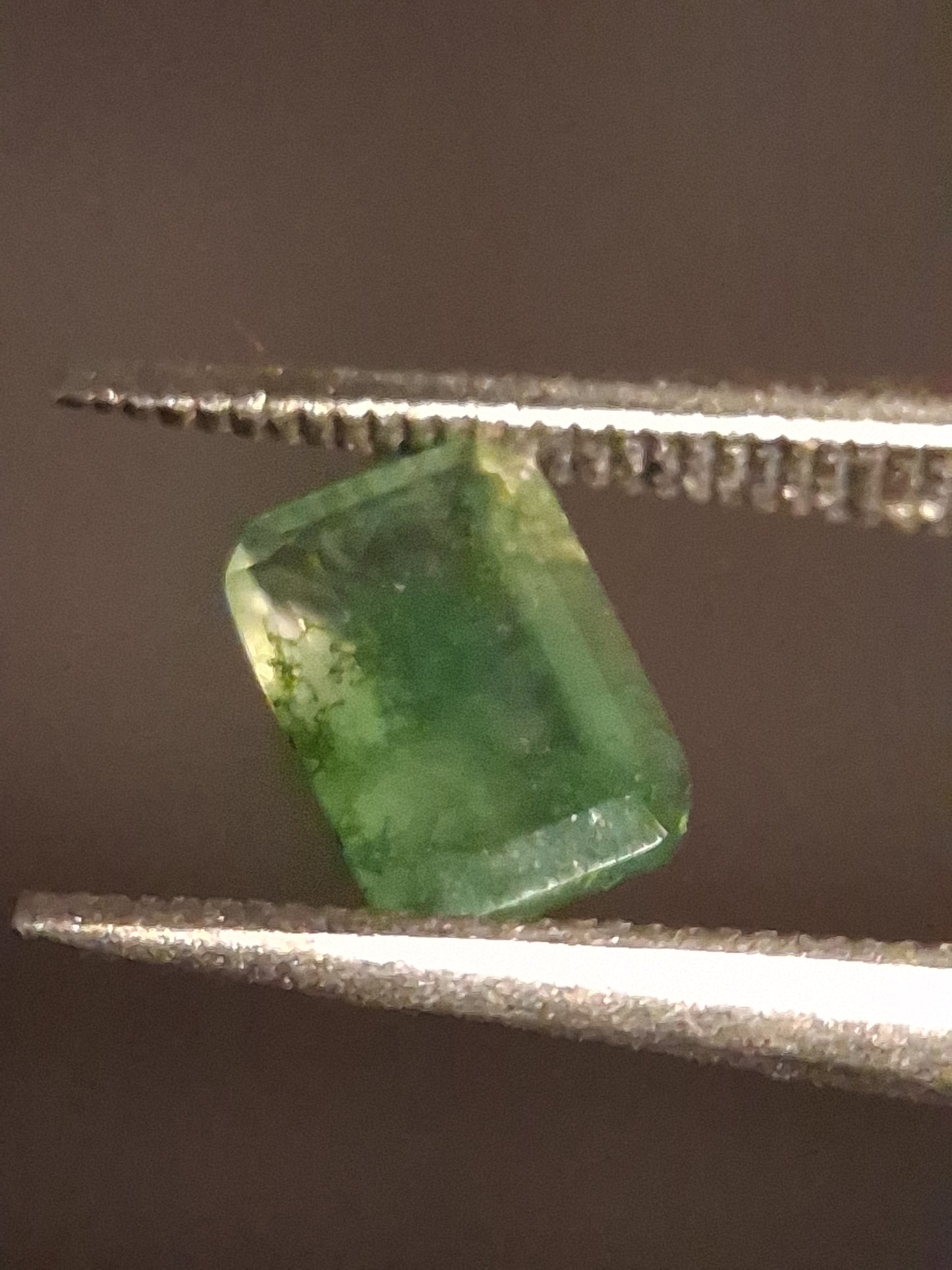 Natural Faceted Agate - Green Moss Agate - 0.467 ct - octagon