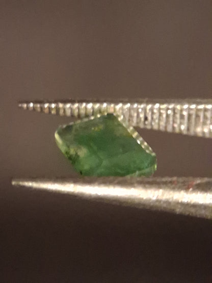 Natural Faceted Agate - Green Moss Agate - 0.467 ct - octagon