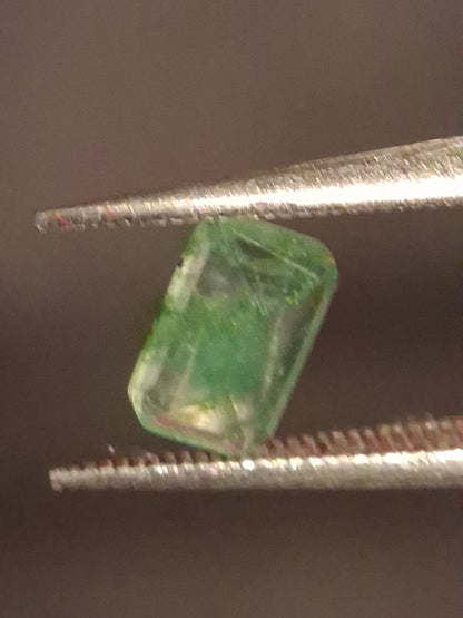 Natural Faceted Agate - Green Moss Agate - 0.467 ct - octagon