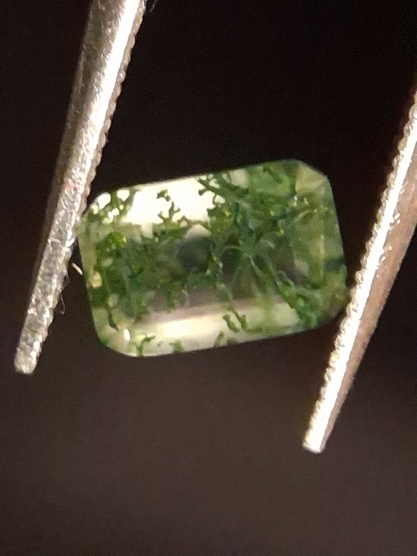 Natural Faceted Agate - Green Moss Agate - 0.473 ct - octagon