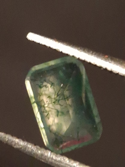 Natural Faceted Agate - Green Moss Agate - 0.476 ct - octagon