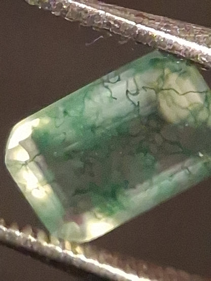 Natural Faceted Agate - Green Moss Agate - 0.476 ct - octagon