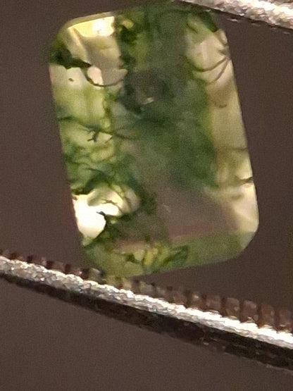 Natural Faceted Agate - Green Moss Agate - 0.485 ct - octagon